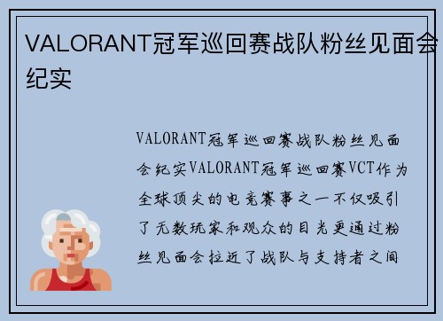 VALORANT冠军巡回赛战队粉丝见面会纪实