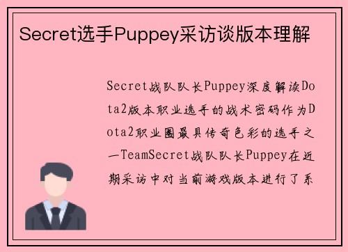 Secret选手Puppey采访谈版本理解