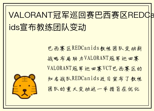 VALORANT冠军巡回赛巴西赛区REDCanids宣布教练团队变动